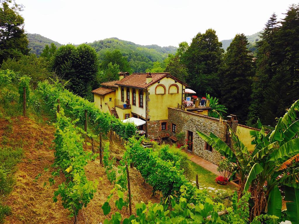 A Casa Del Tosi Villa Lucca Buitenkant foto