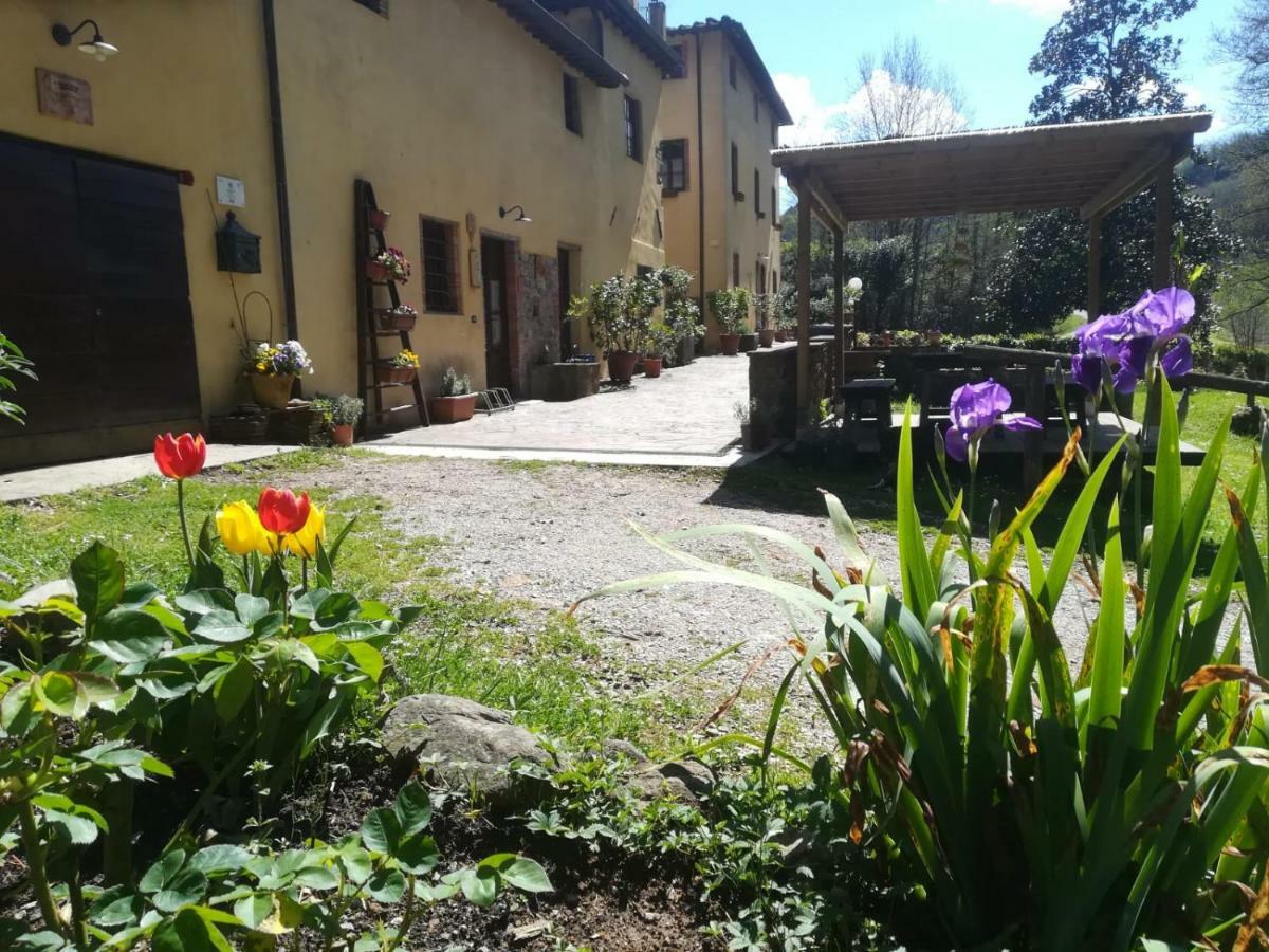 A Casa Del Tosi Villa Lucca Buitenkant foto